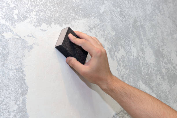 Professional Mold Removal in Galesburg, MI