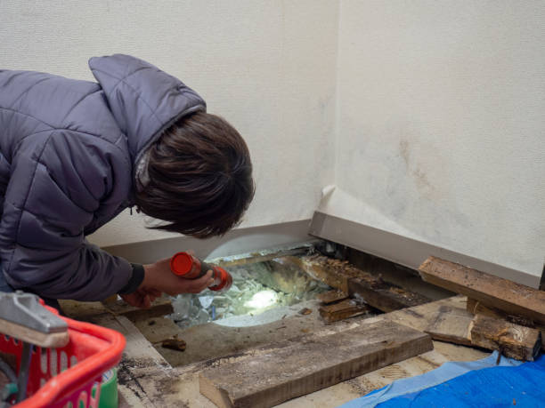 Best Airborne Mold Testing  in Galesburg, MI