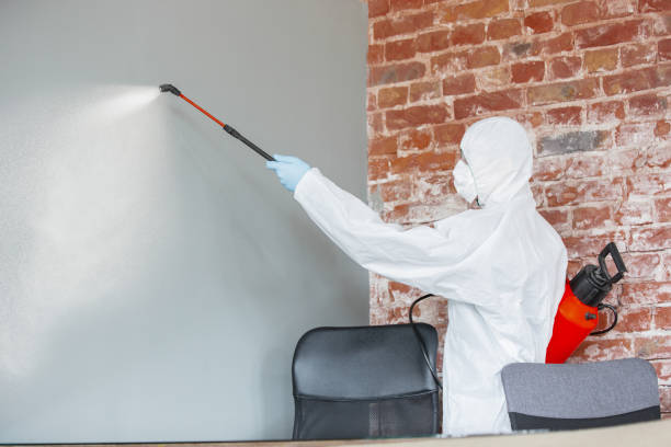 Best Post-Construction Mold Inspection  in Galesburg, MI