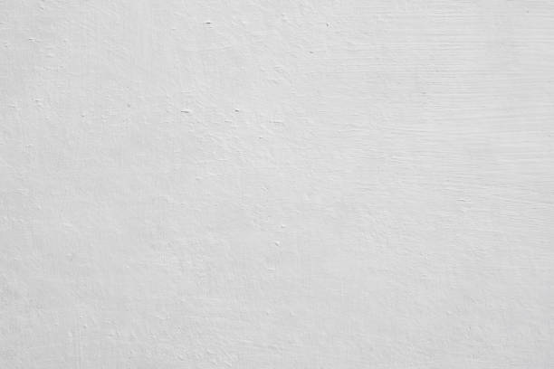 Best Attic Mold Removal  in Galesburg, MI